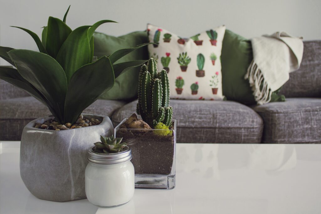 House plants on a coffee table with a couch in the background and a pillow with a potted plant pattern in an airbnb
