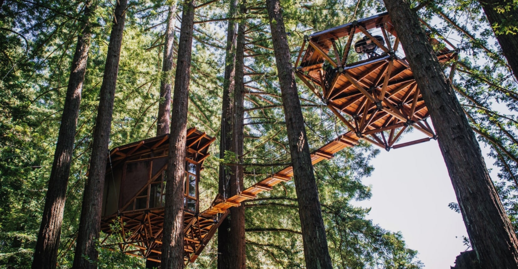 Treewalkers’ story shows glamping’s powerful business potential. What started with a single treehouse structure turned into a $63K/month business.