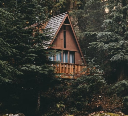 Tiny home cabin in the forest