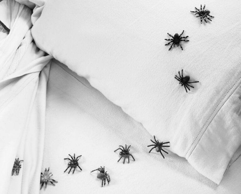 A group of spiders walking across a bed
