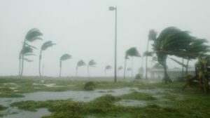 Hurricane Preparedness Checklist