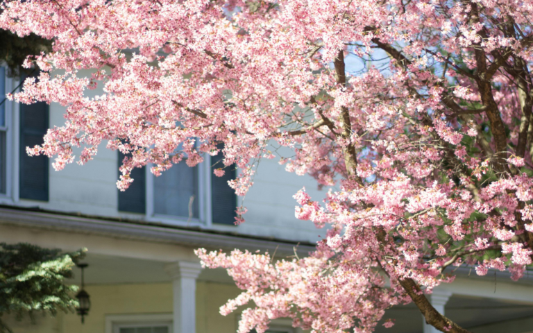 Vacation Rental Spring Checklist: Cleaning, Maintenance & Free PDF