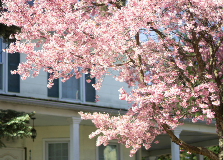 Vacation Rental Spring Checklist: Cleaning, Maintenance & Free PDF